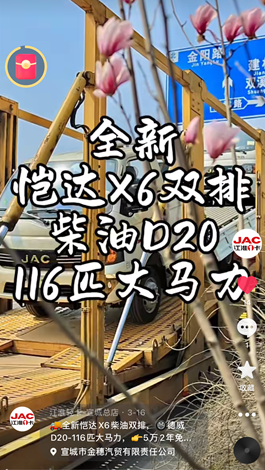 全新愷達(dá)X6柴油雙排，德威D20-116匹大馬力。