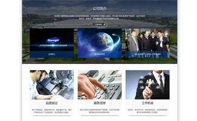 江苏常州恒立液压公司集团形象网站建设